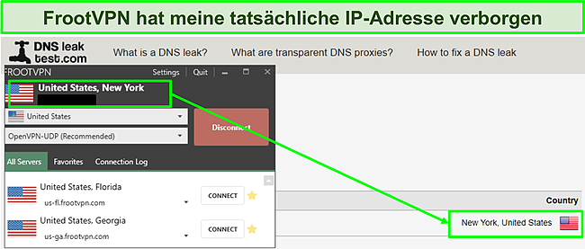 Screenshot von FrootVPN, das DNS-Leak-Tests besteht.