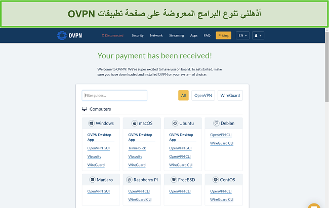 لقطة شاشة لخيارات تطبيق OVPN