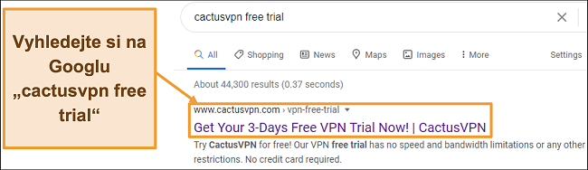 Screenshot ukazující, jak najít bezplatnou zkušební verzi CactusVPN na Googlu