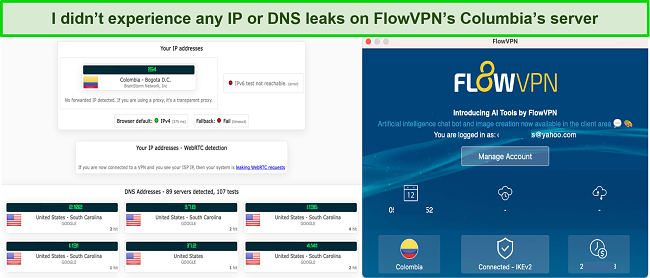 EN-review-FlowVPN-IP-DNS-leak-test-english