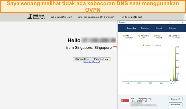 Tangkapan layar OVPN yang lulus uji kebocoran DNS