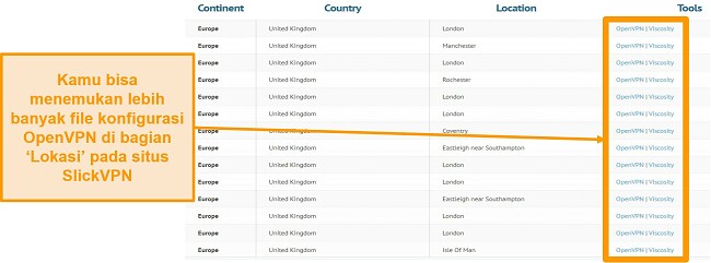 Tangkapan layar file konfigurasi OpenVPN untuk penyiapan