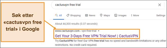 Skjermbilde som viser hvordan du finner CactusVPN gratis prøveperiode på Google