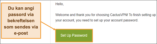 Skjermbilde som viser e-postbekreftelse fra CactusVPN for å opprette et passord for kontoen din