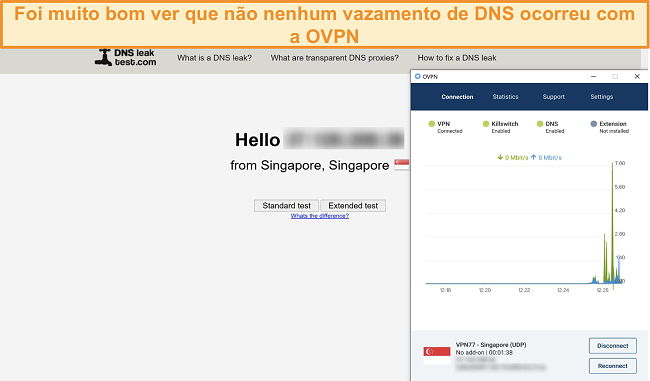 Captura de tela de OVPN passando em um teste de vazamento de DNS