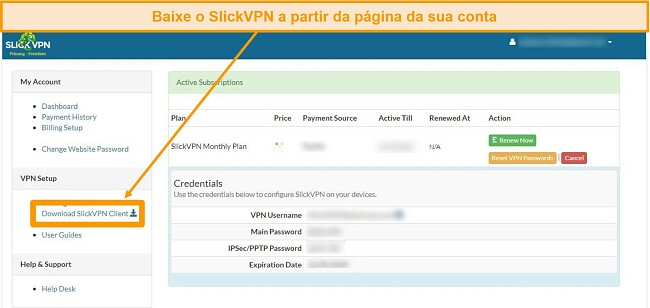 Captura de tela da conta do SlickVPN com opção de download