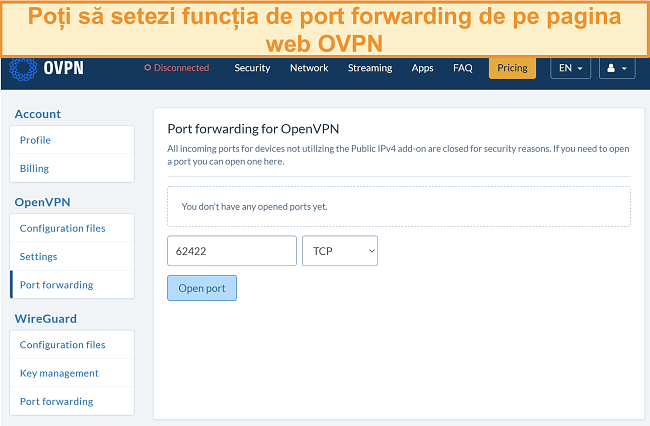 Captură de ecran a opțiunii de redirecționare a porturilor pe OVPN