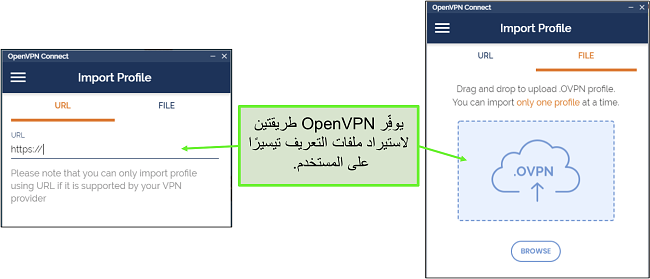 لقطة شاشة لطريقتين يمكنك من خلالهما استيراد ملفات تعريف الخادم إلى OpenVPN UI.