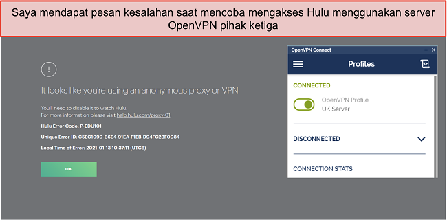 Tangkapan layar kesalahan VPN Hulu, dengan aplikasi OpenVPN terbuka di sebelahnya.