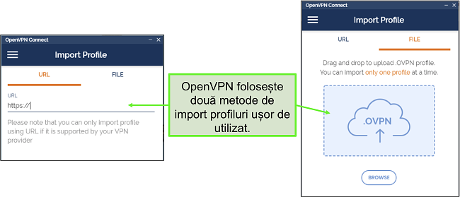 Captură de ecran a celor două moduri în care puteți importa profiluri de server în OpenVPN UI.