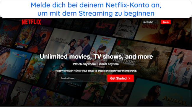 Screenshot der Anmeldeseite von Netflix