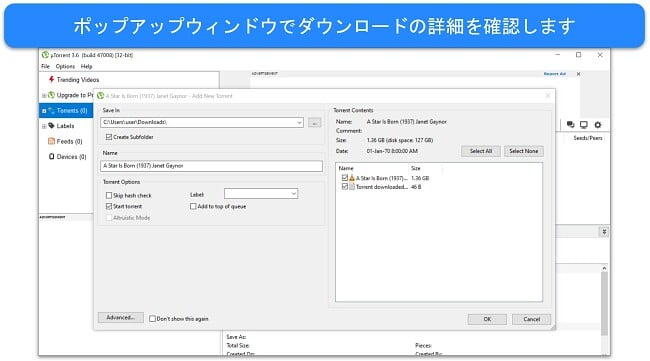 uTorrent のダウンロード詳細ポップアップ ウィンドウのスクリーンショット