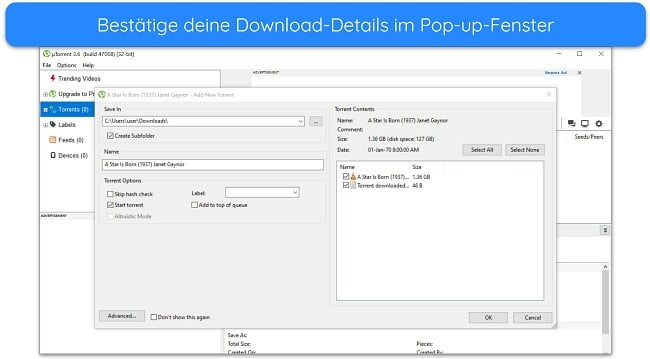 Screenshot des Popup-Fensters mit den Download-Details auf uTorrent