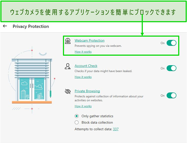 Kasperskyデスクトップのプライバシー保護オプションのスクリーンショット