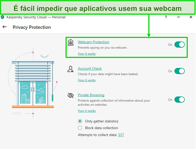 Captura de tela das opções de proteção de privacidade do Kaspersky desktop