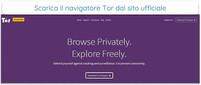 Immagine della home page del progetto Tor.