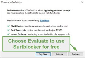 Blumentals Surfblocker 5.15.0.65 download the new version
