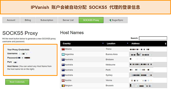 分配给我的 IPVanish 帐户的代理登录凭据的屏幕截图