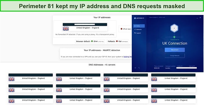 Screenshot of Perimeter 81 IP/DNS leak test