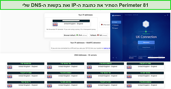 צילום מסך של בדיקת דליפת IP/DNS של Perimeter 81.