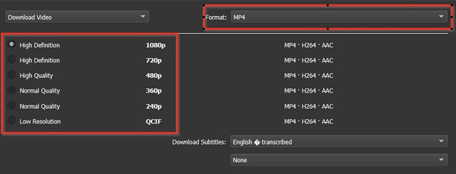 4K Video Downloader video quality screenshot