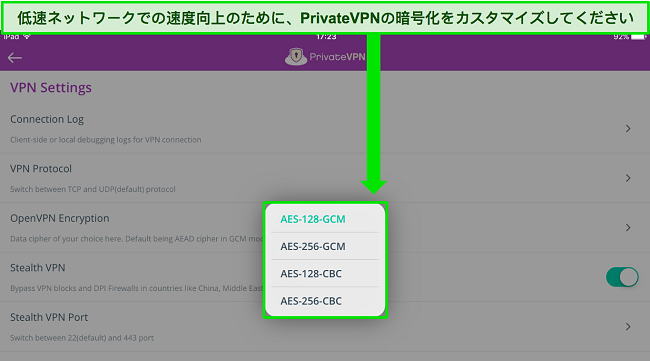 ユーザーが OpenVPN の接続暗号化レベルをカスタマイズできる VPN 設定メニューを表示している PrivateVPN の iPad アプリの画像。