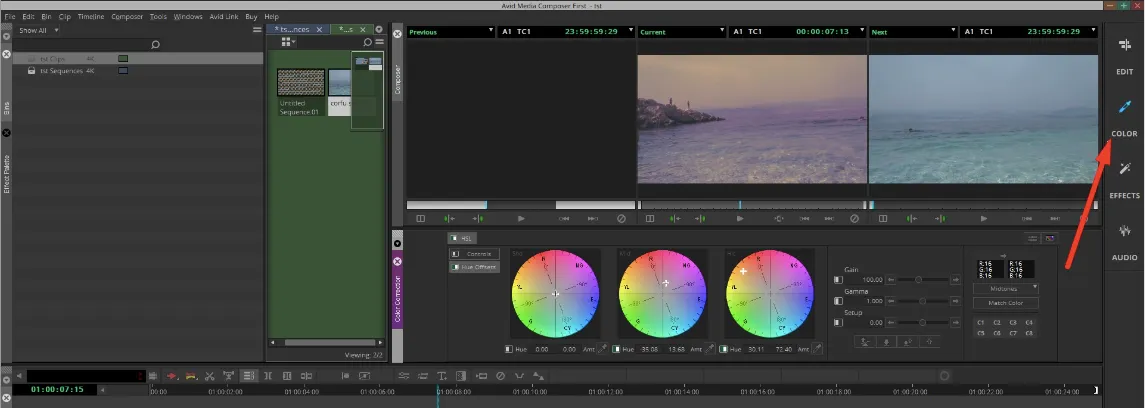 Correzione del colore Avid Media