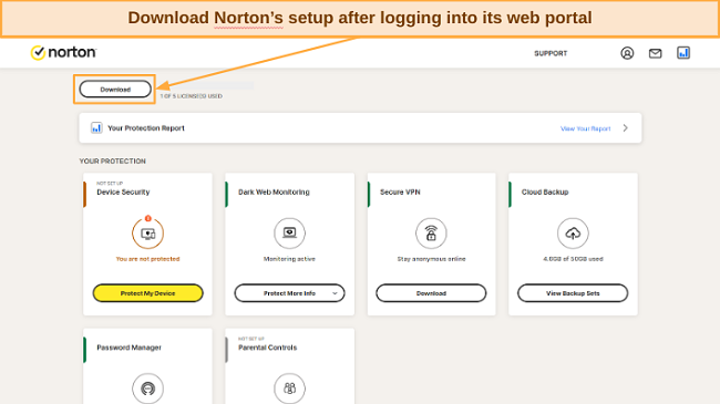 Norton download button screenshot