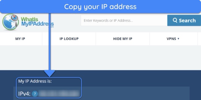 Screenshot showing how to copy your current IP address