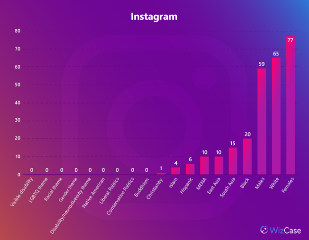 Table showing Instagram dataset