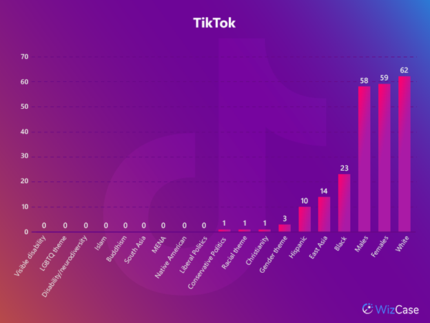 Table showing TikTok dataset