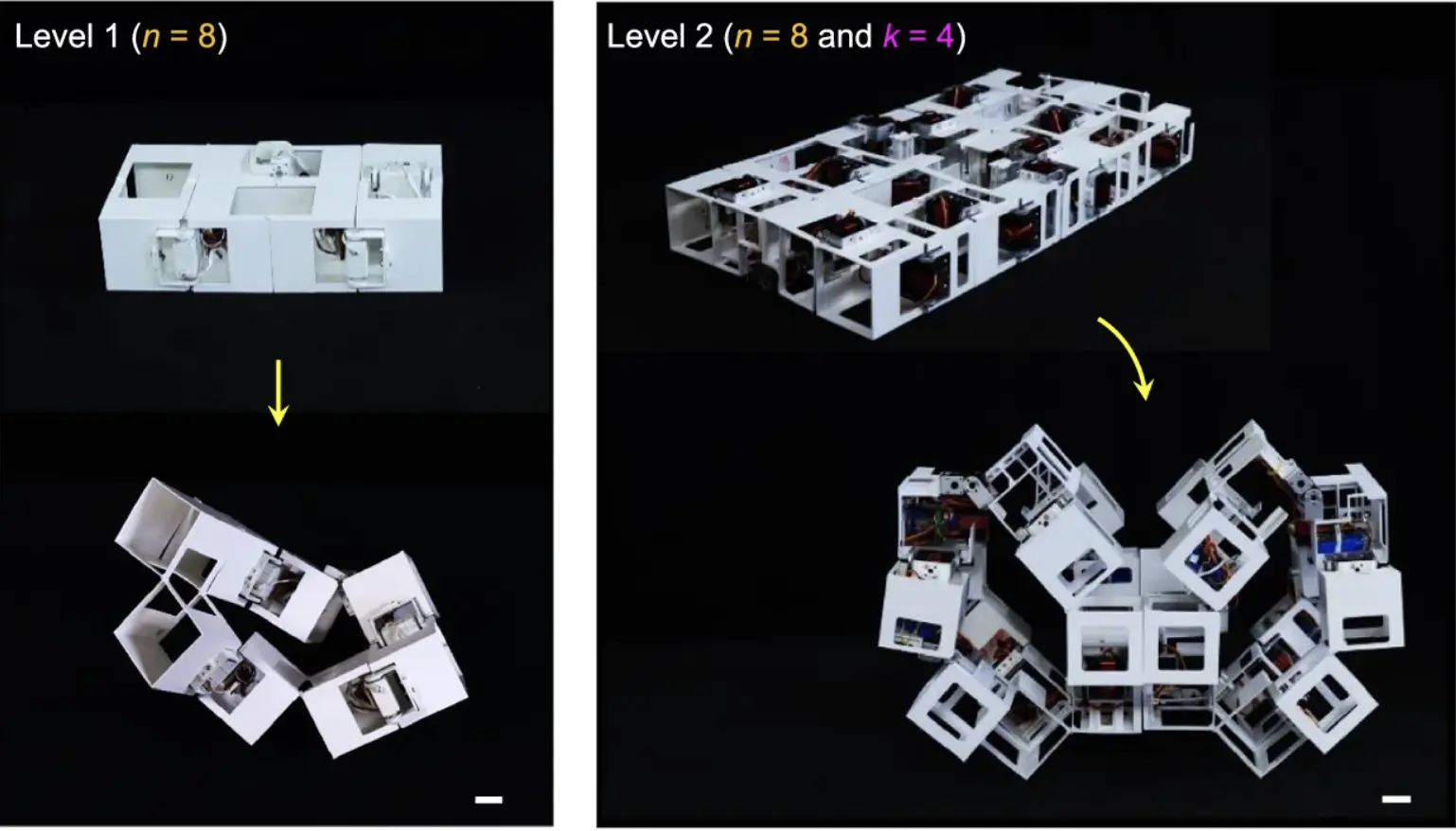 NC State University Develop Shape-Shifting Robot Inspired by Origami