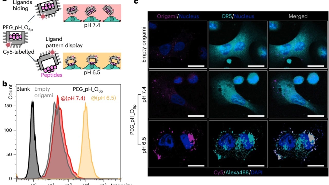 Cancer Killing Nanobots