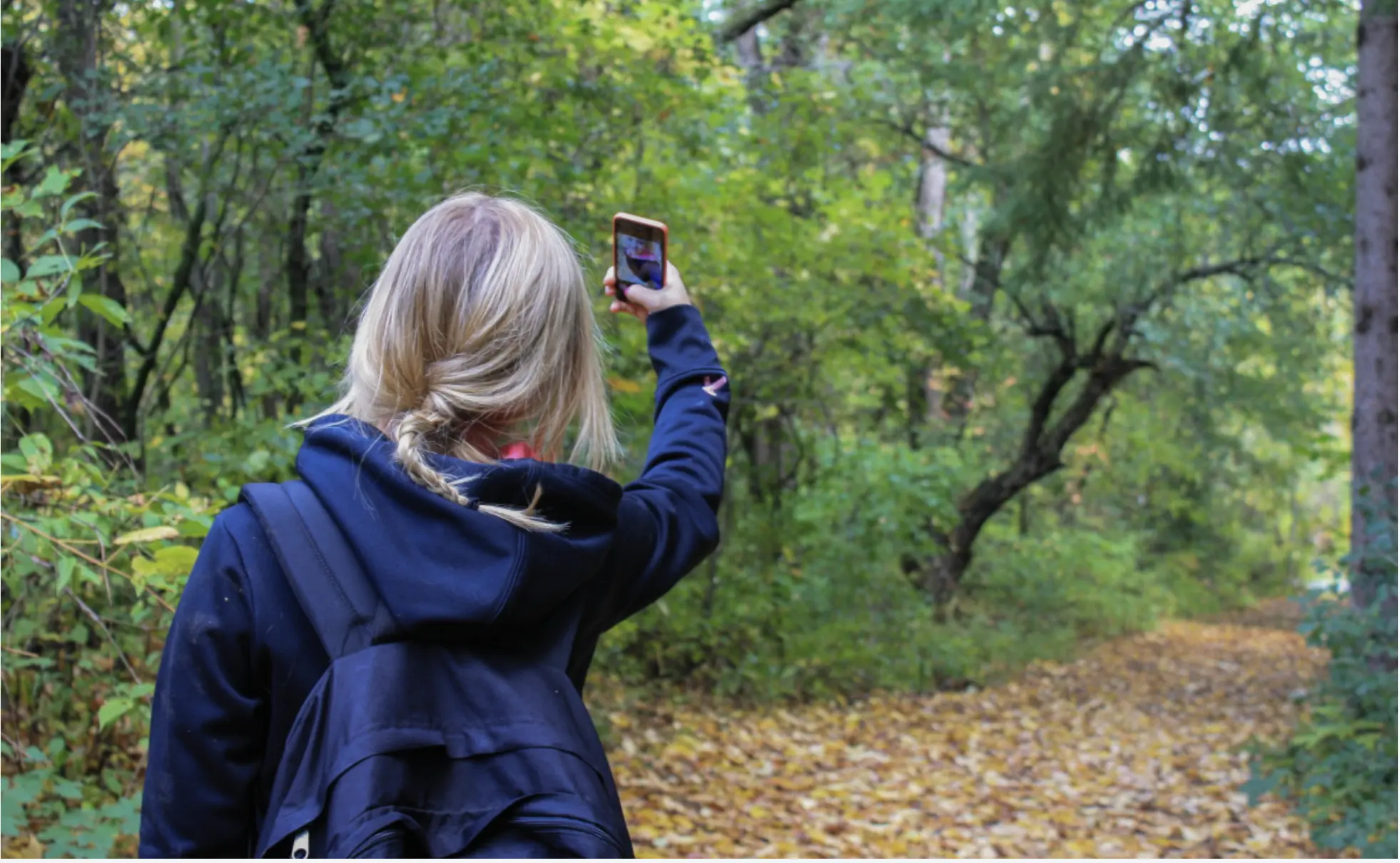 Study Finds Social Media’s Rise In Nature Photography Harms Wildlife And Habitats