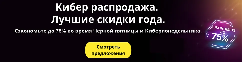 Баннер с купоном Norton Black Friday 2024