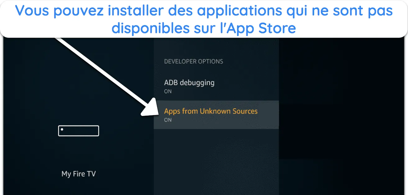 Capture d'écran d'applications provenant de sources inconnues activées sur Fire TV.