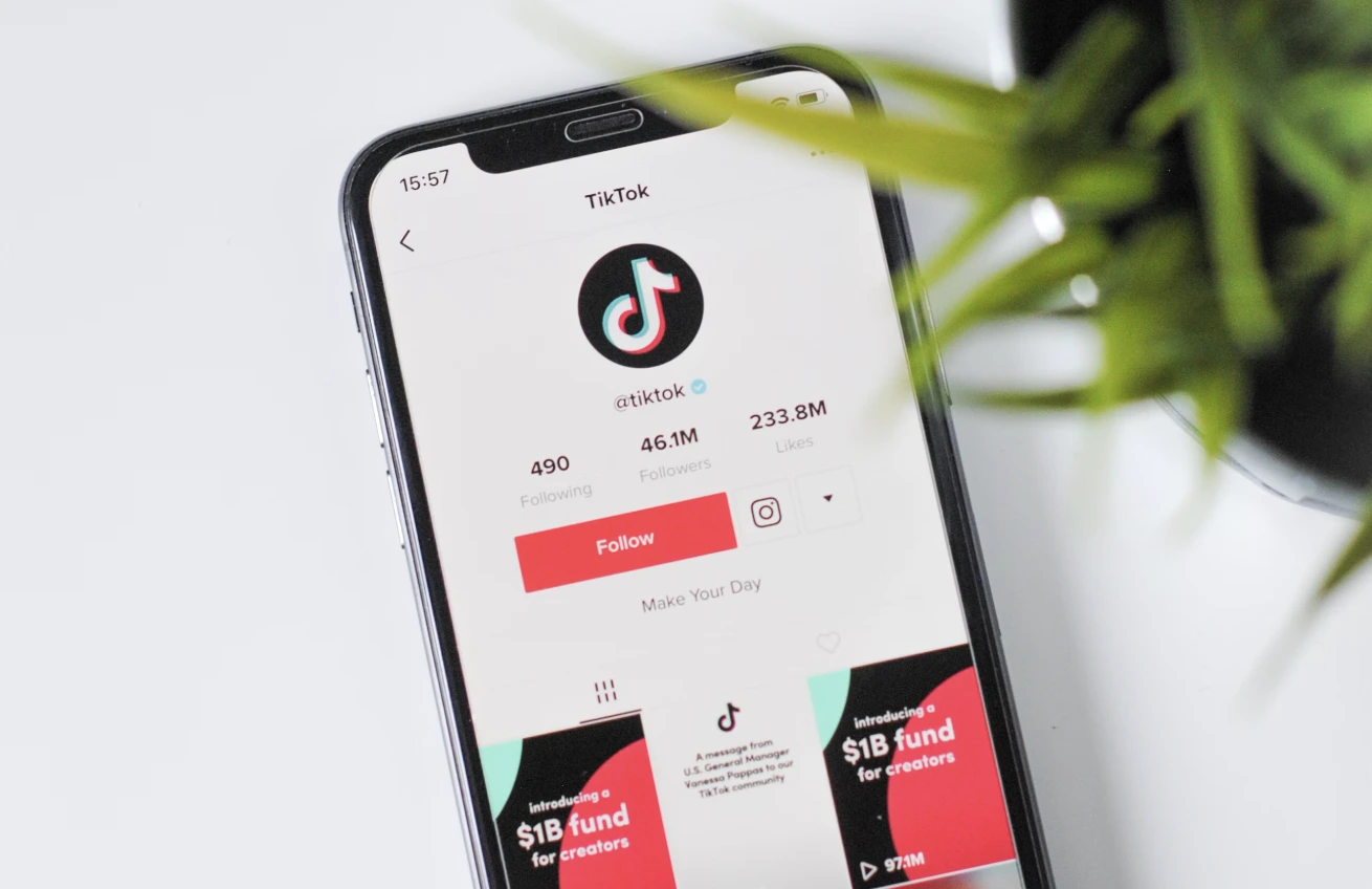 TikTok Ban Delayed: 75 Days To Assess Security Concerns