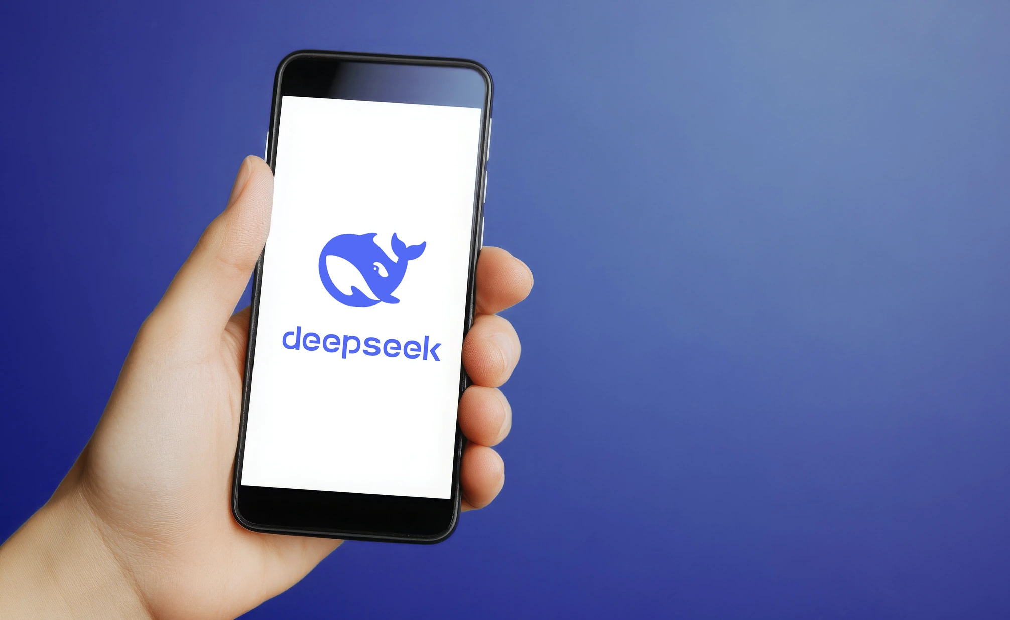 Italy Blocks DeepSeek Chatbot Over Privacy Concerns