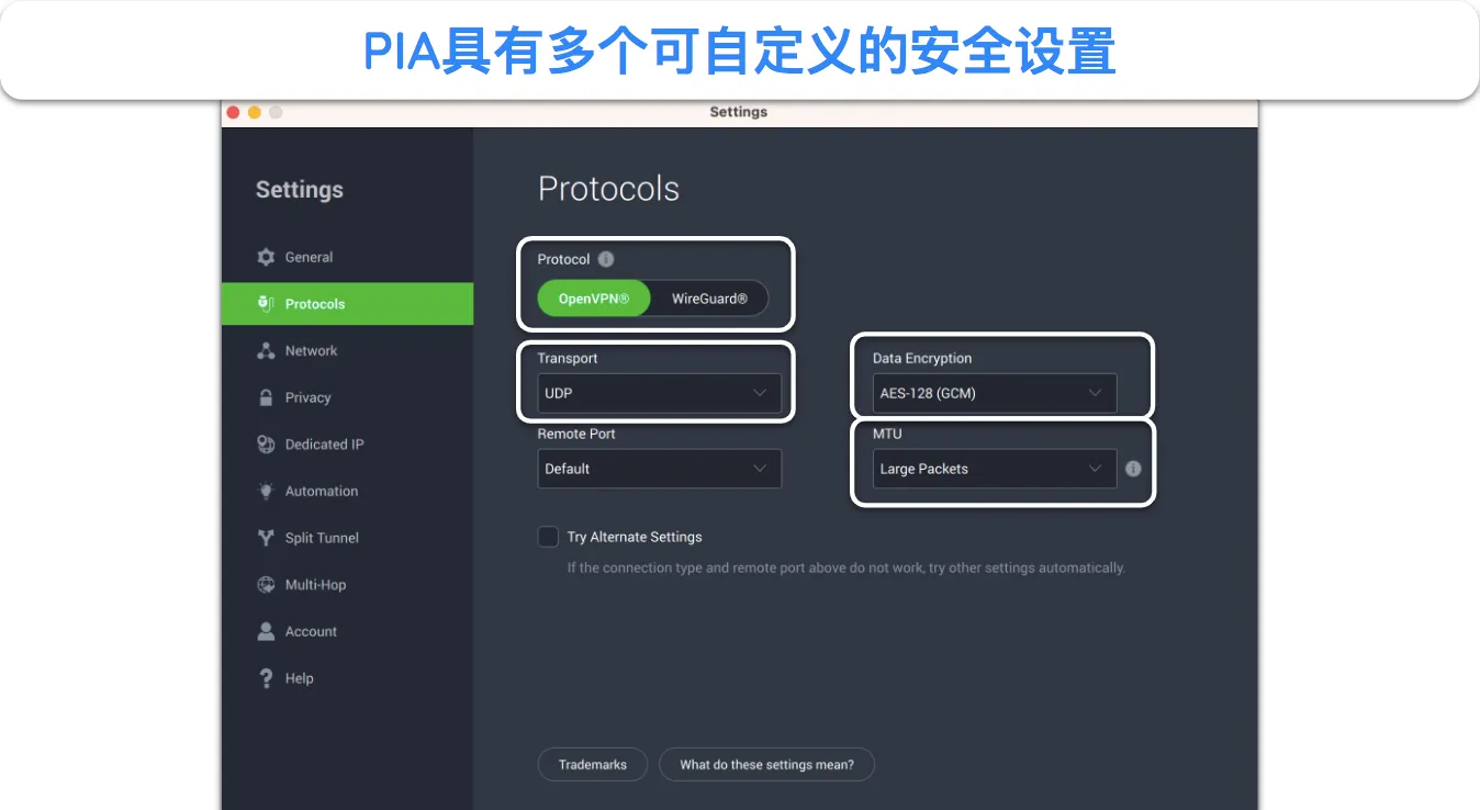 PIA 高级设置的屏幕截图。